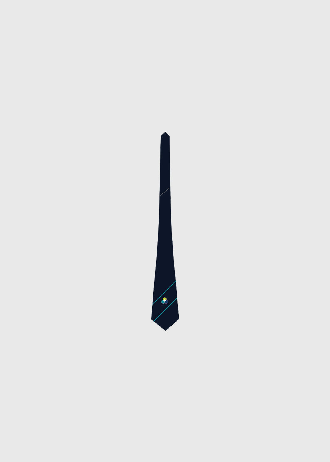 Tie Senior Boys 137cm