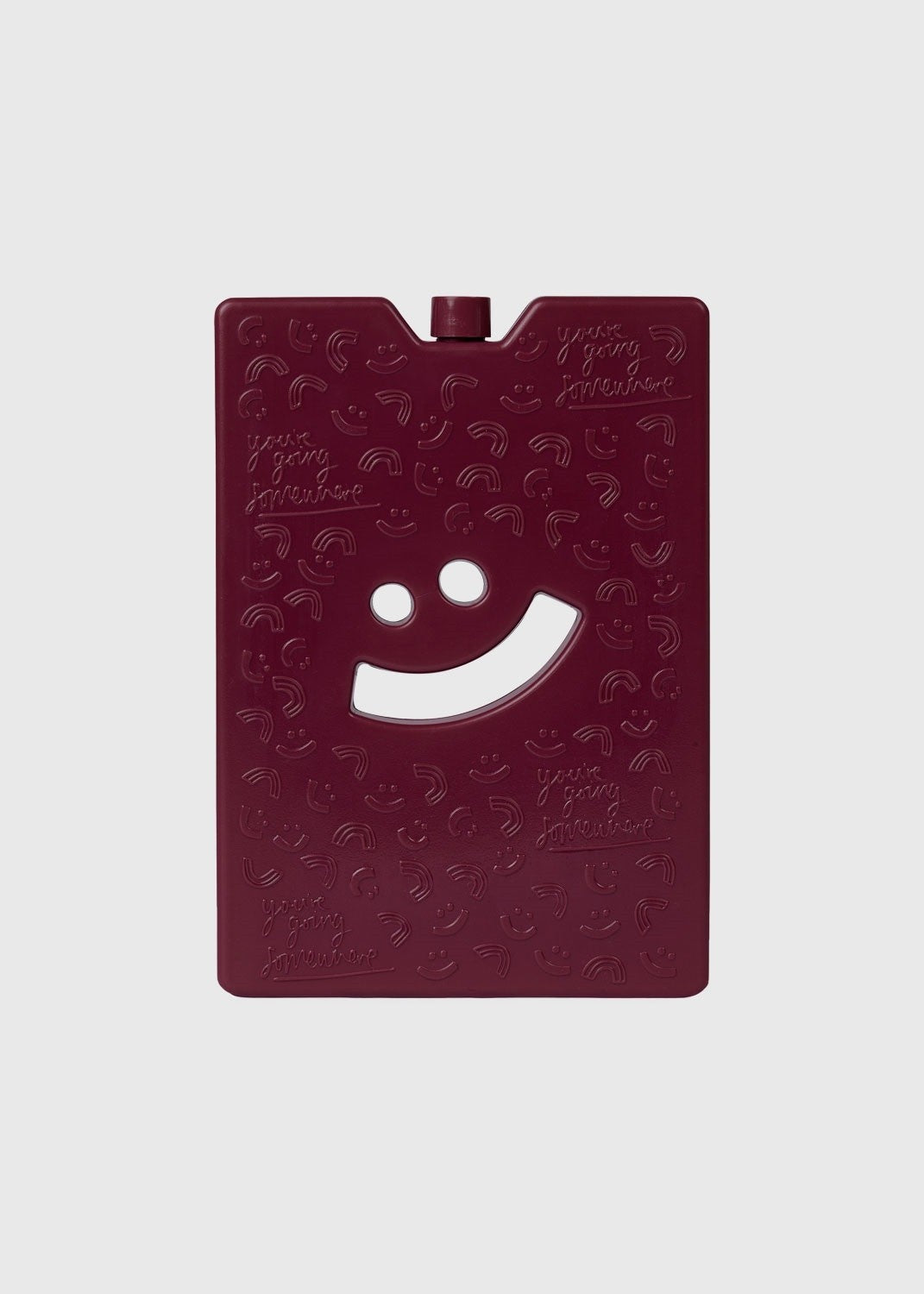 TSC Large Ice Brick - Burgundy