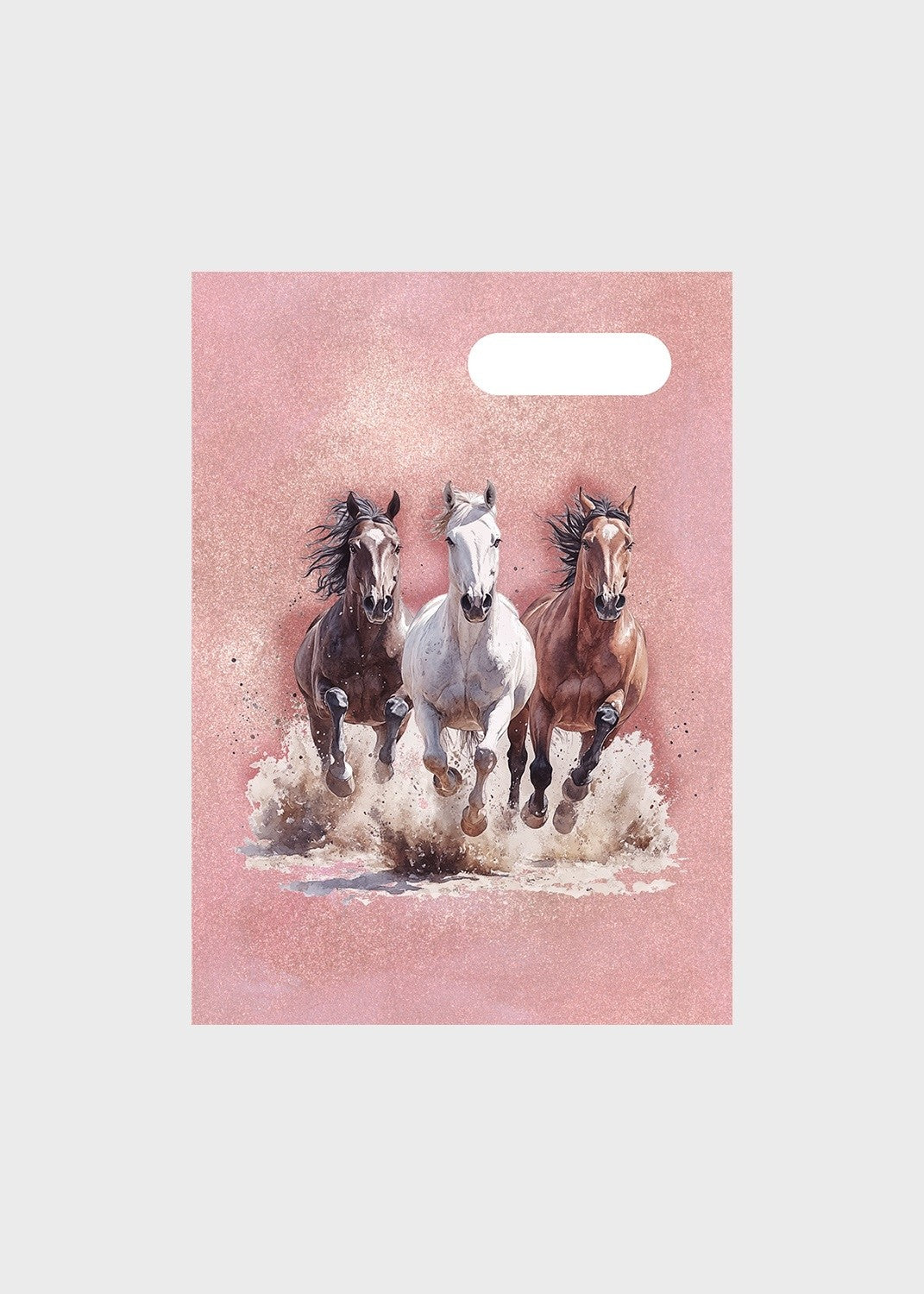 A4 Book Cover - Wild Horses