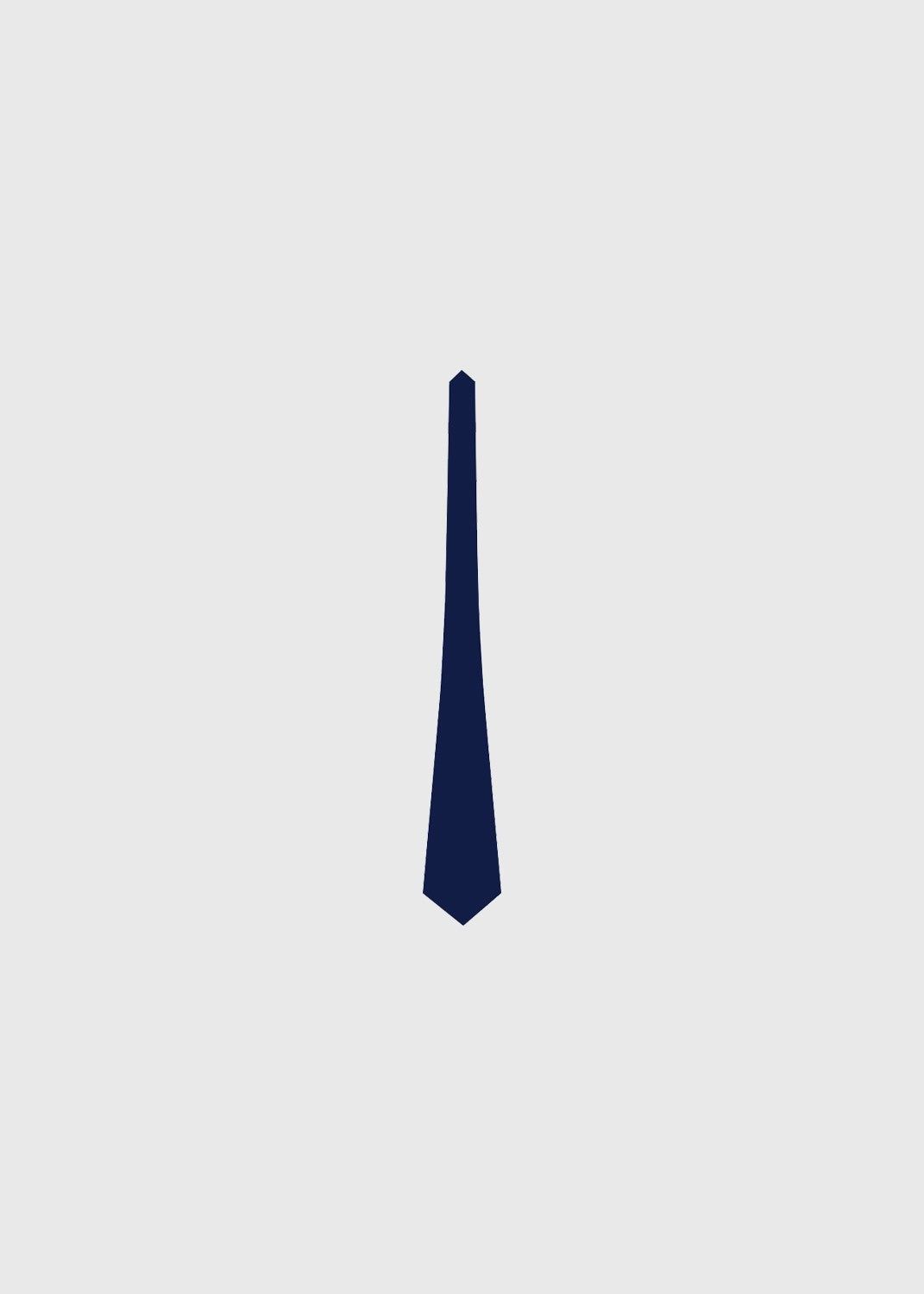 Tie Junior Navy