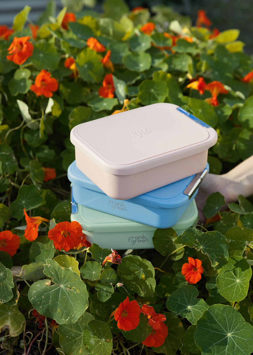 Lunch Container with Silicone Lid - Chocolate