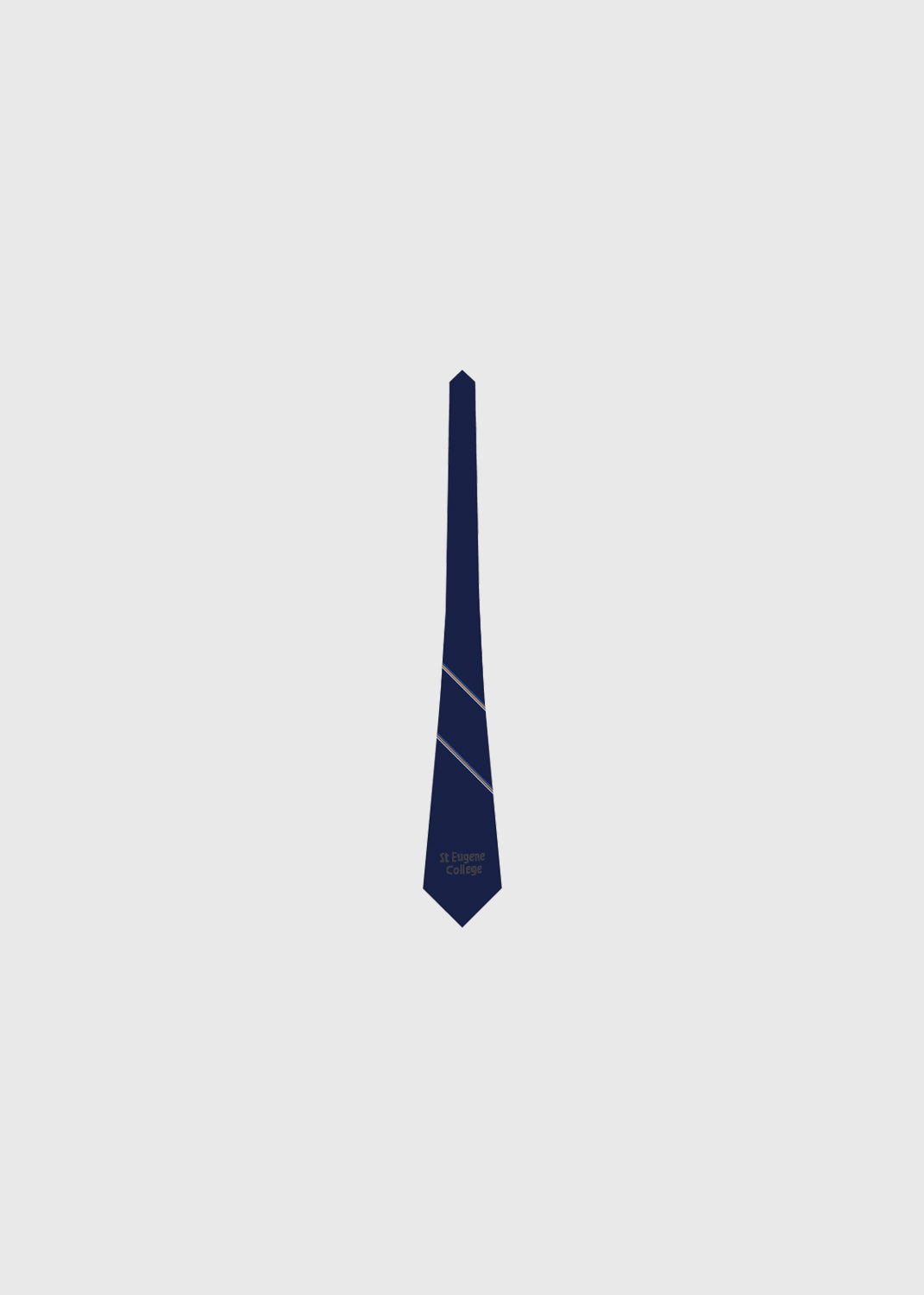 Tie Senior Boys