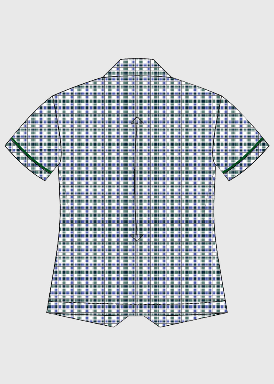 Blouse Check