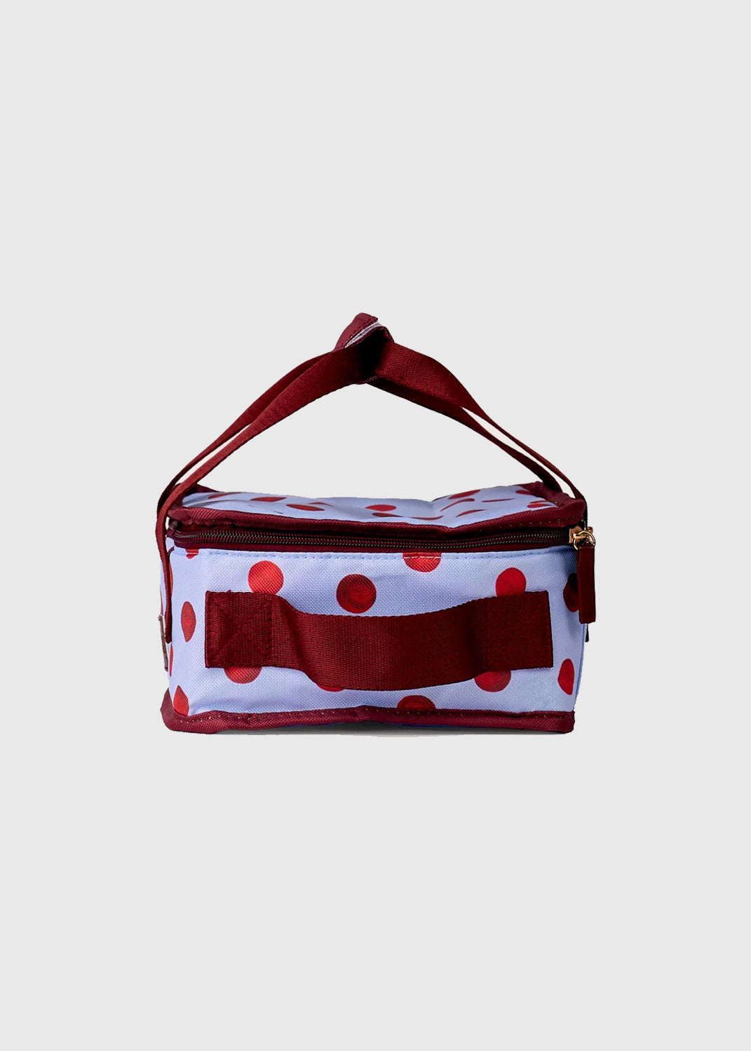 TSC Stasher Lunch Bag - Freckle