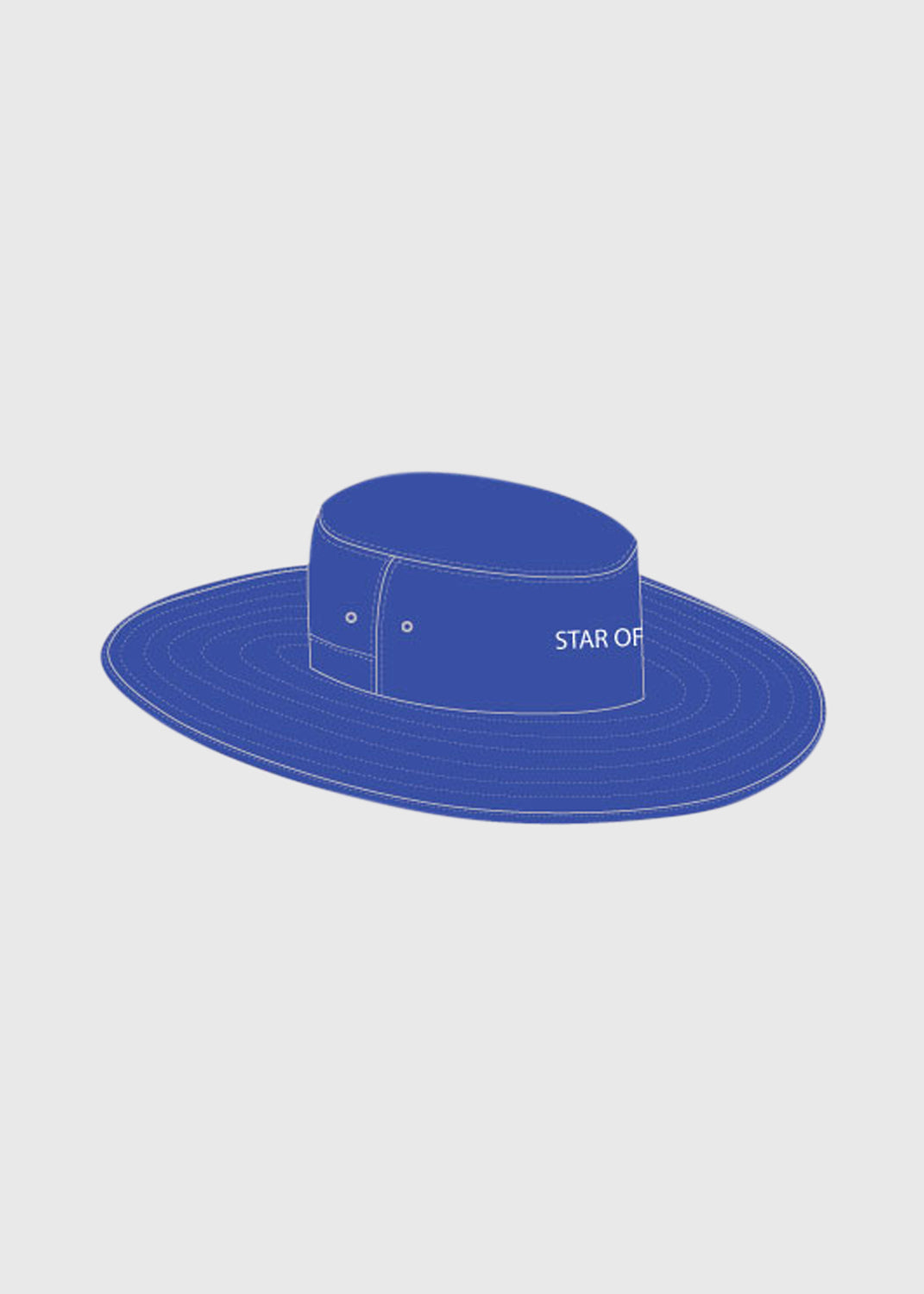 Hat Wide Brim