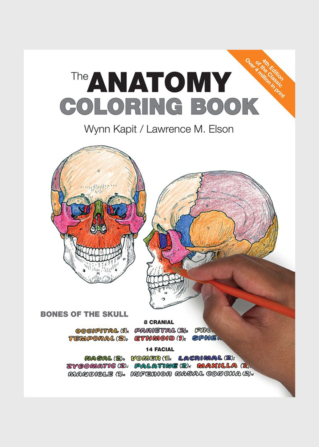 The Physiology Colouring Book – 4th Edition