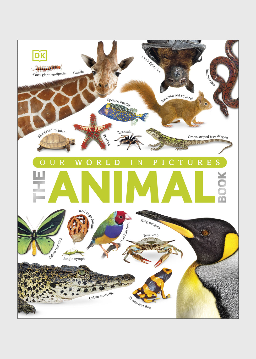 Our World in Pictures - The Animal Book