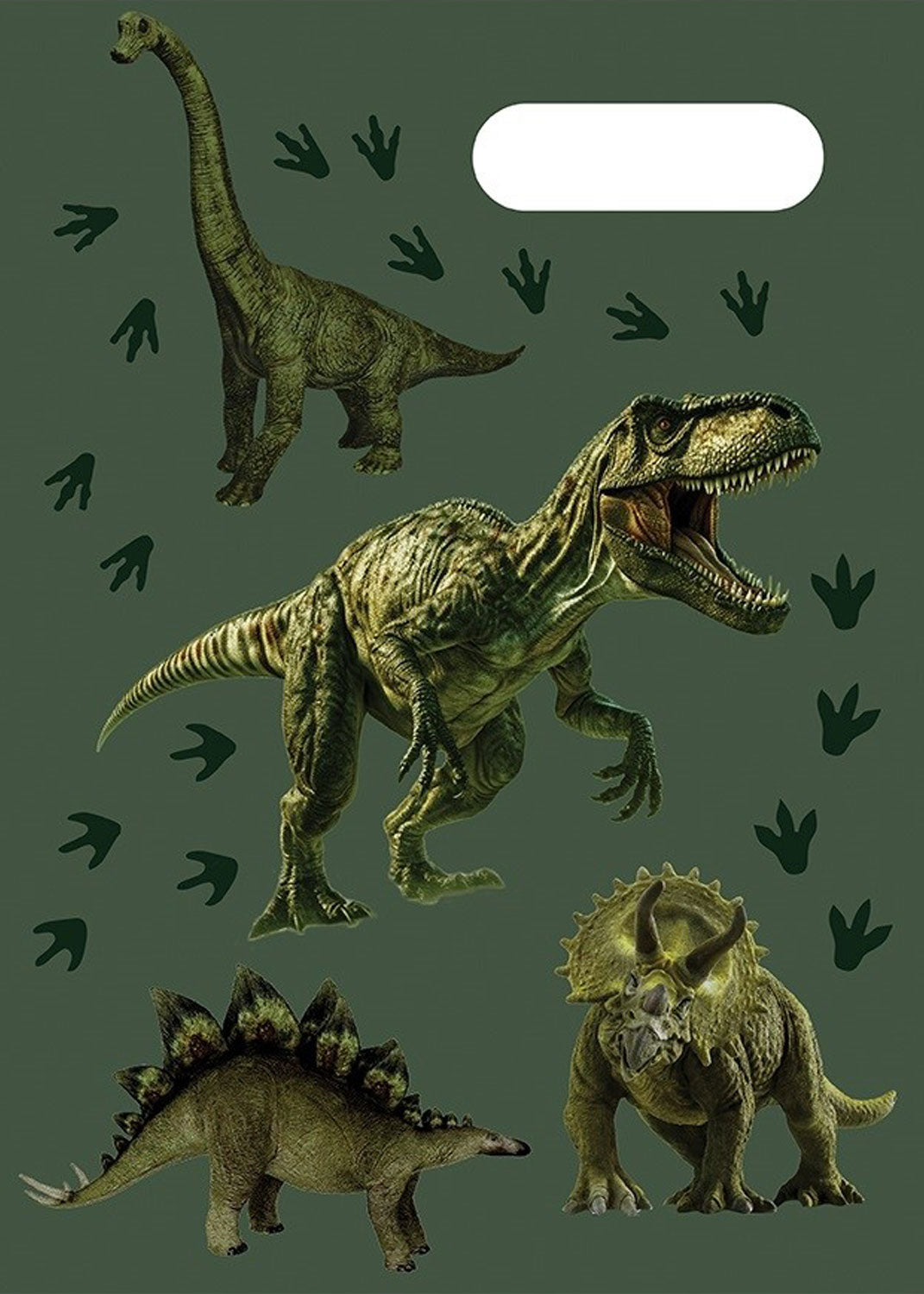 A4 Book Cover - Jurassic Kingdom 2