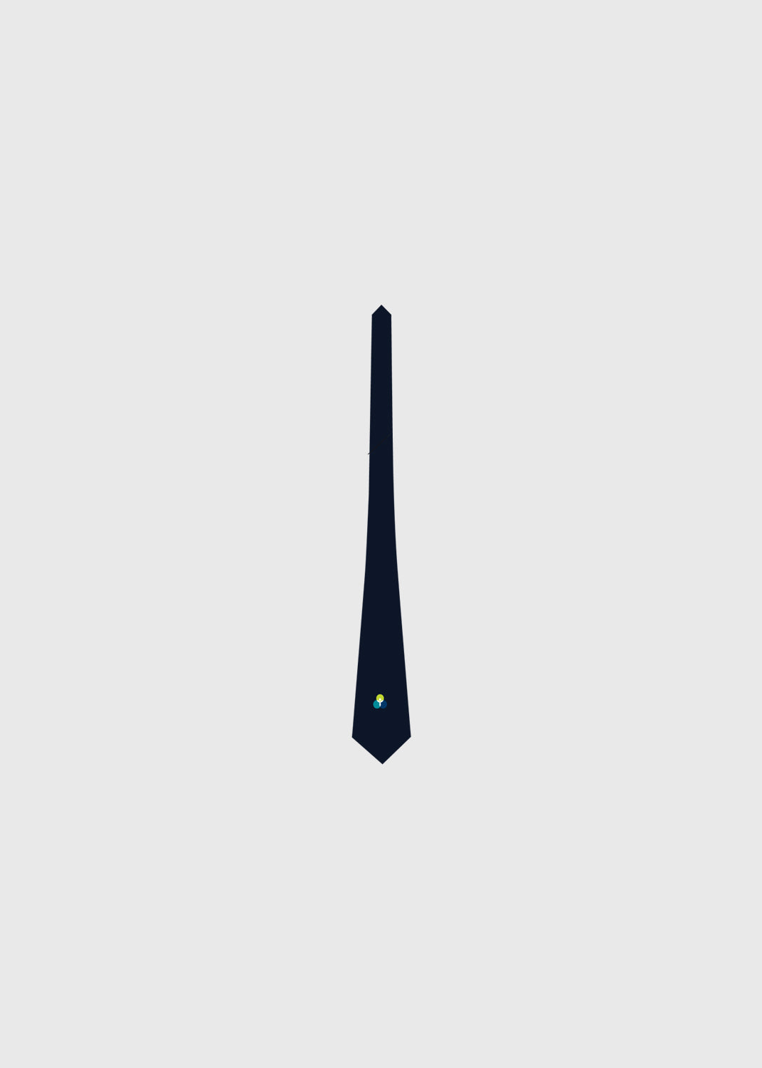 Tie Middle School Boys 137cm