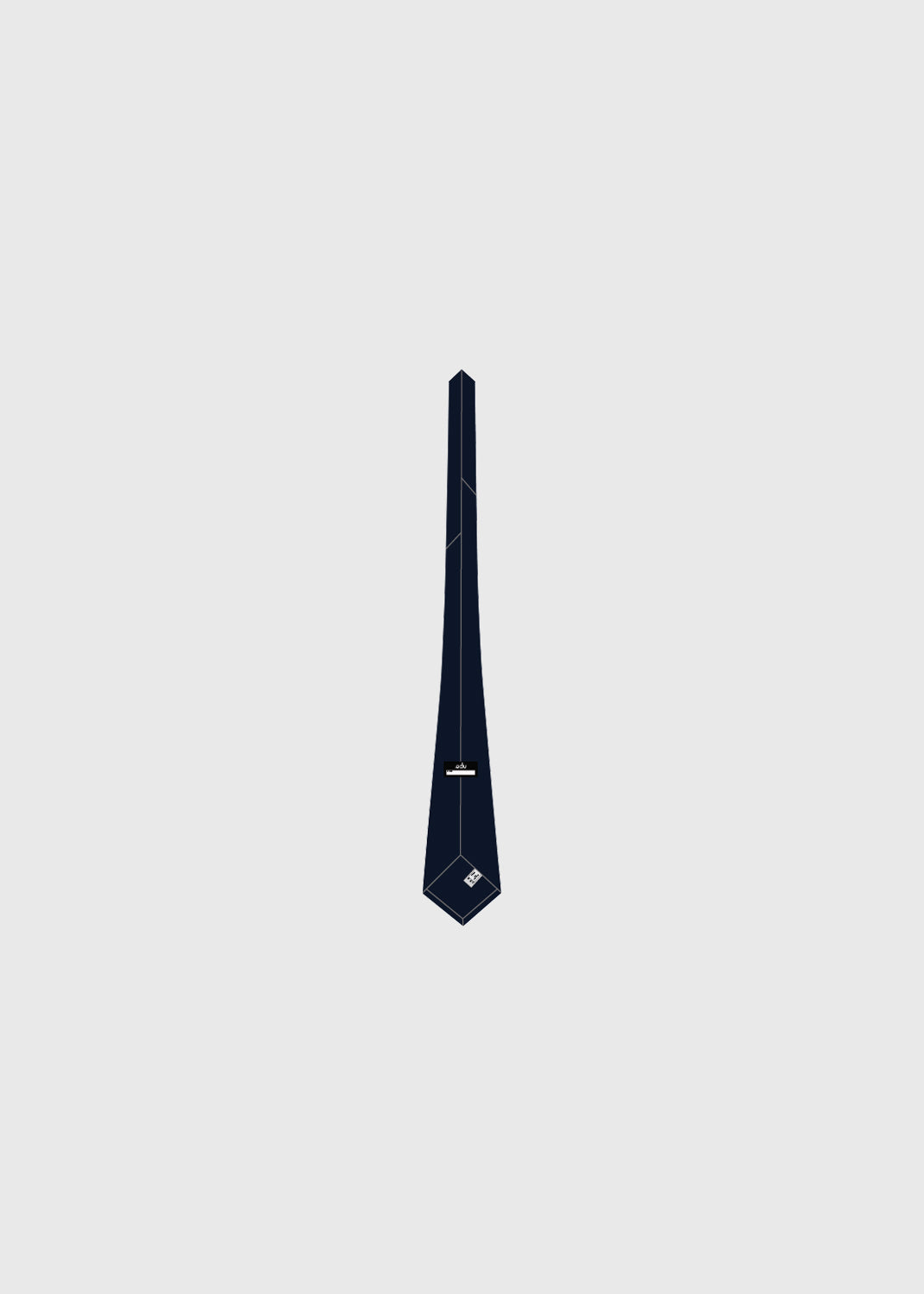 Tie Senior Boys 137cm