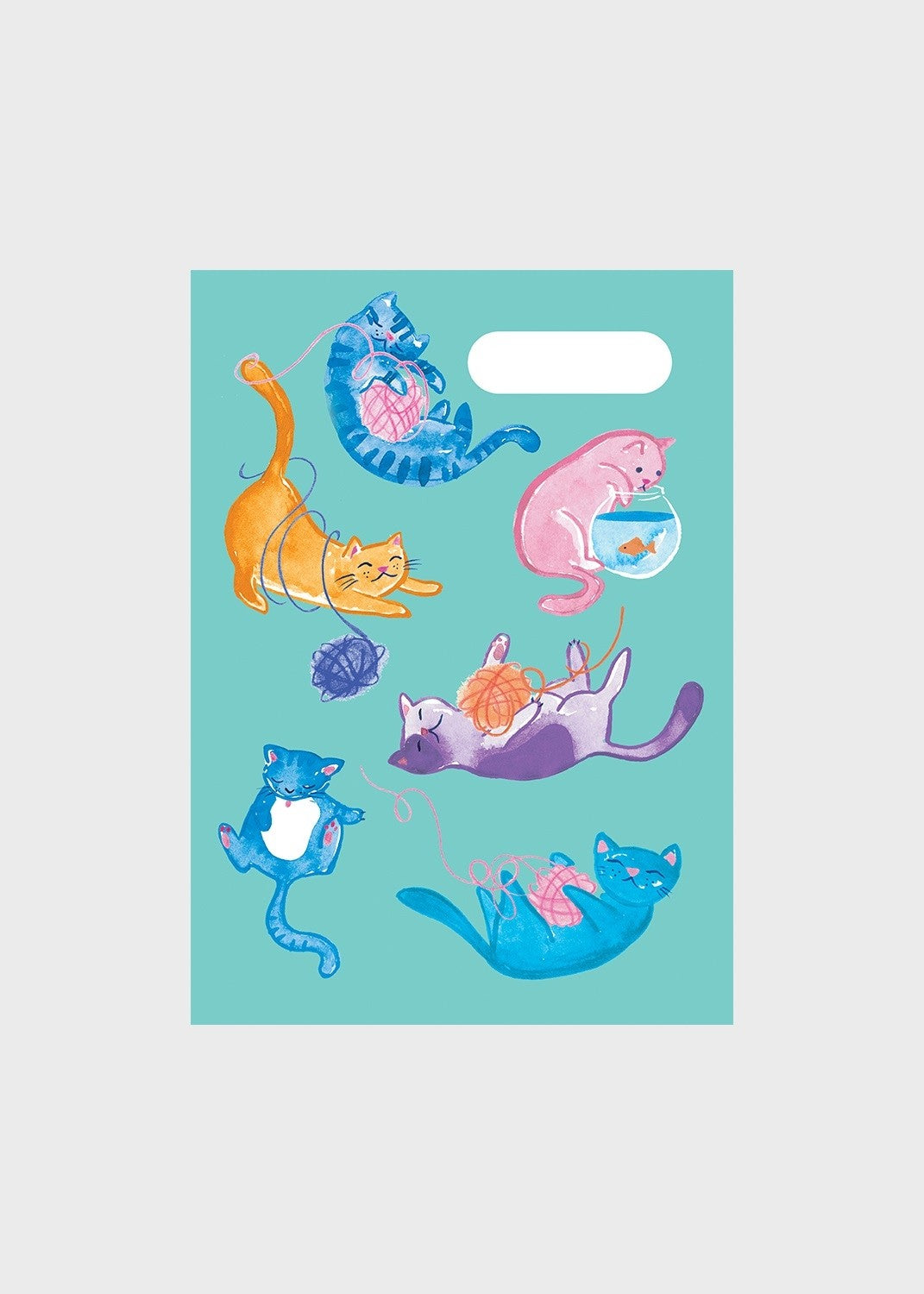 A4 Book Cover - Crazy Cats 2