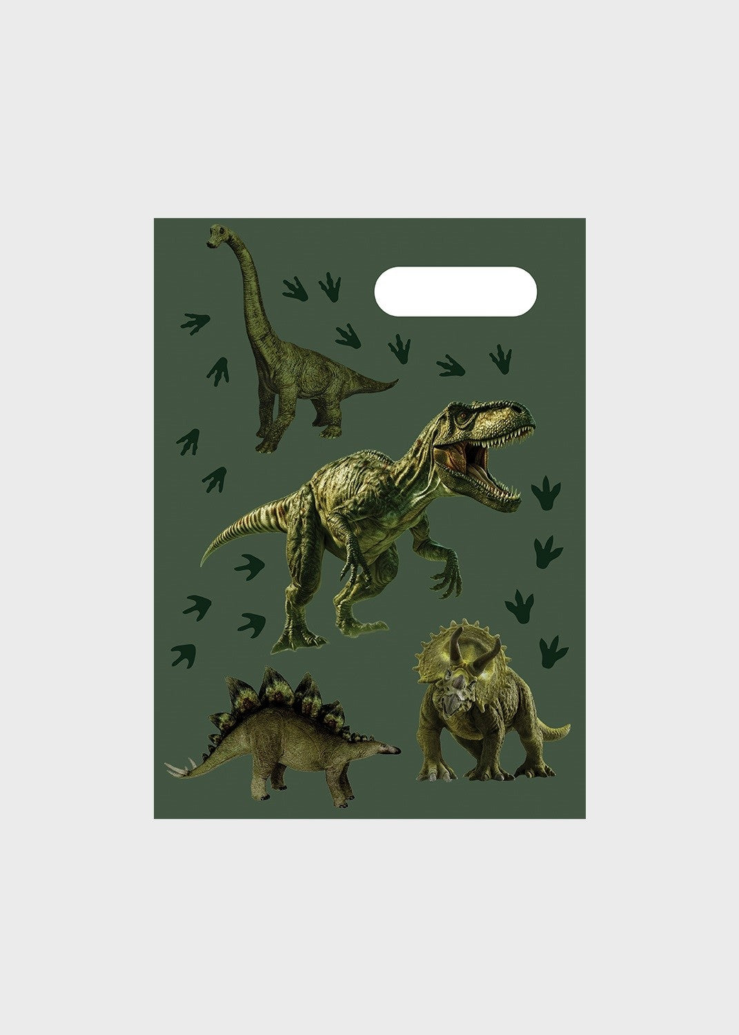 A4 Book Cover - Jurassic Kingdom 2