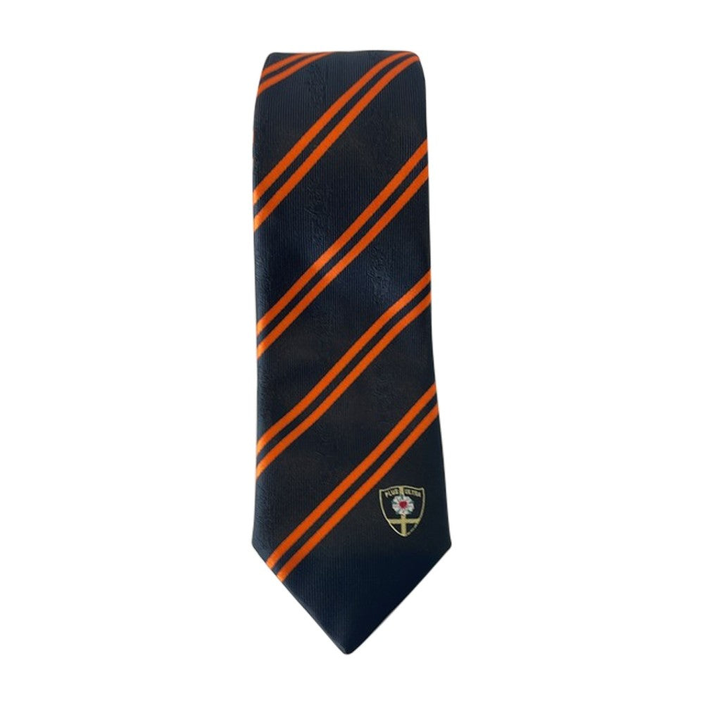 Tie Boarding Schilling 147cm