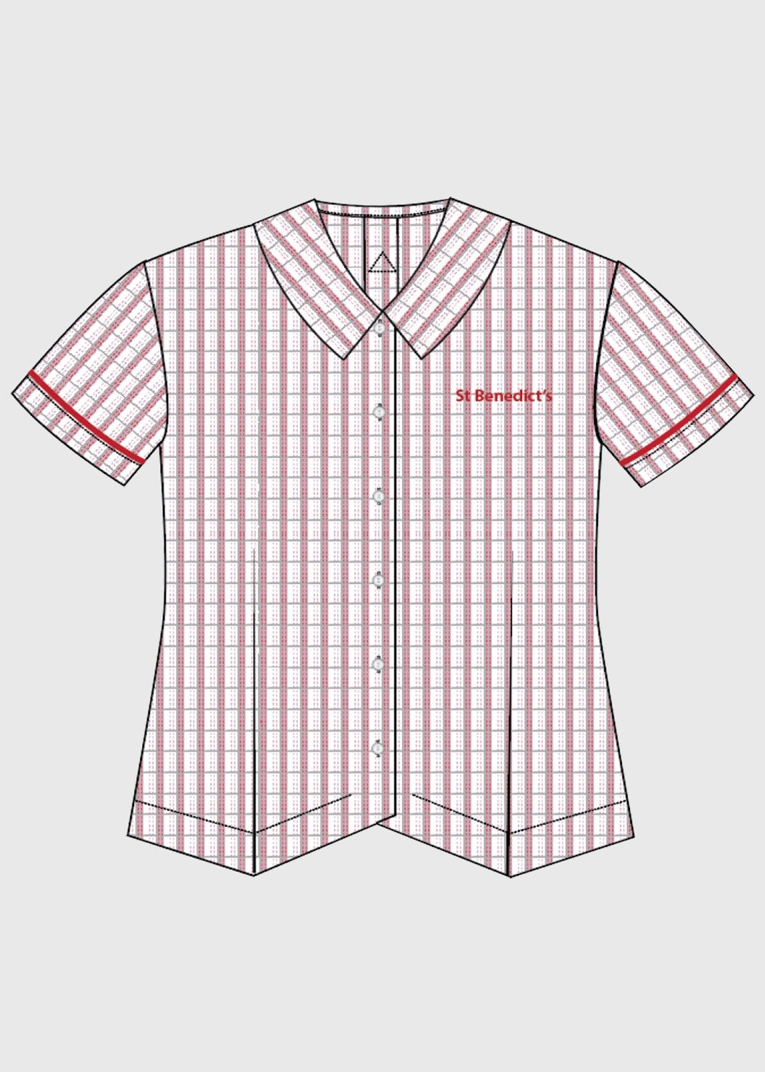 Blouse Check