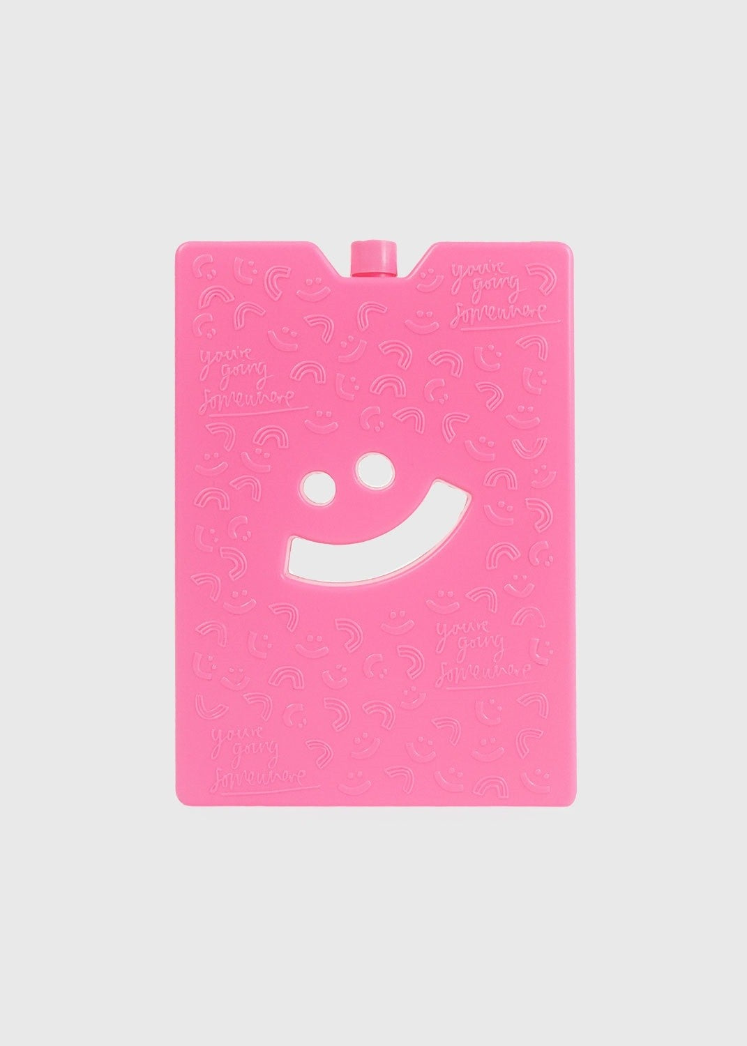 TSC Large Ice Brick - Pink