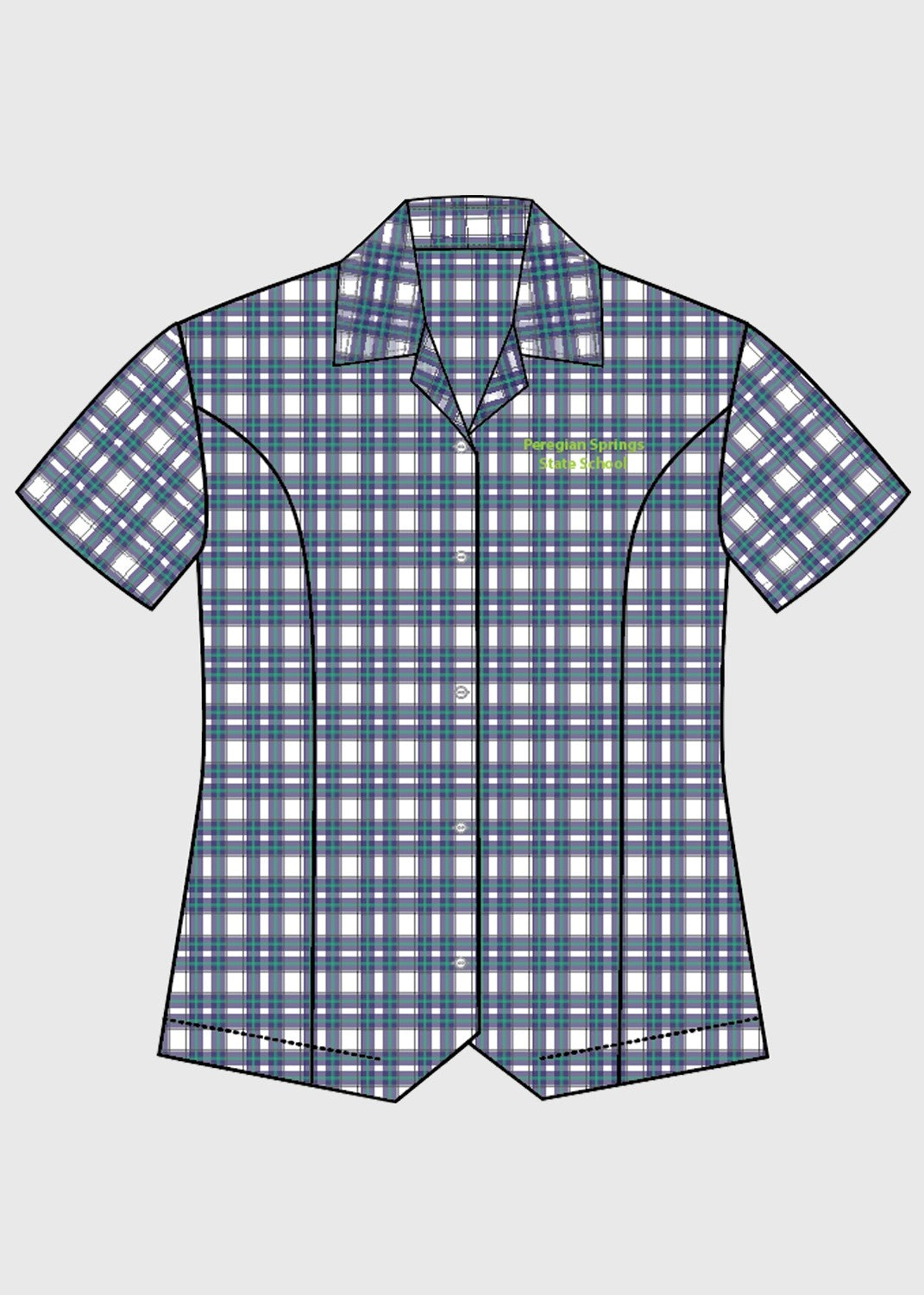Blouse Formal Check