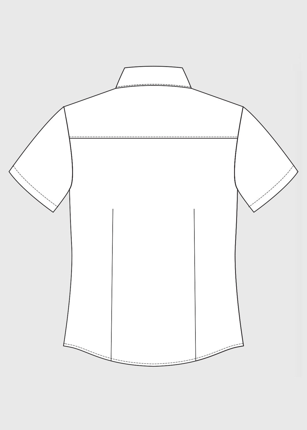 Formal Blouse