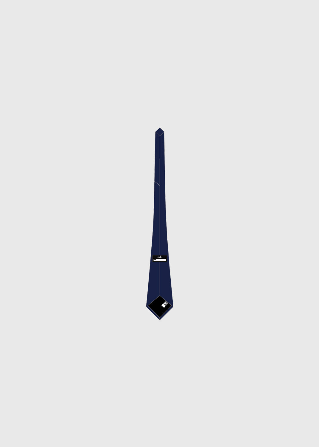 Tie Senior Boys