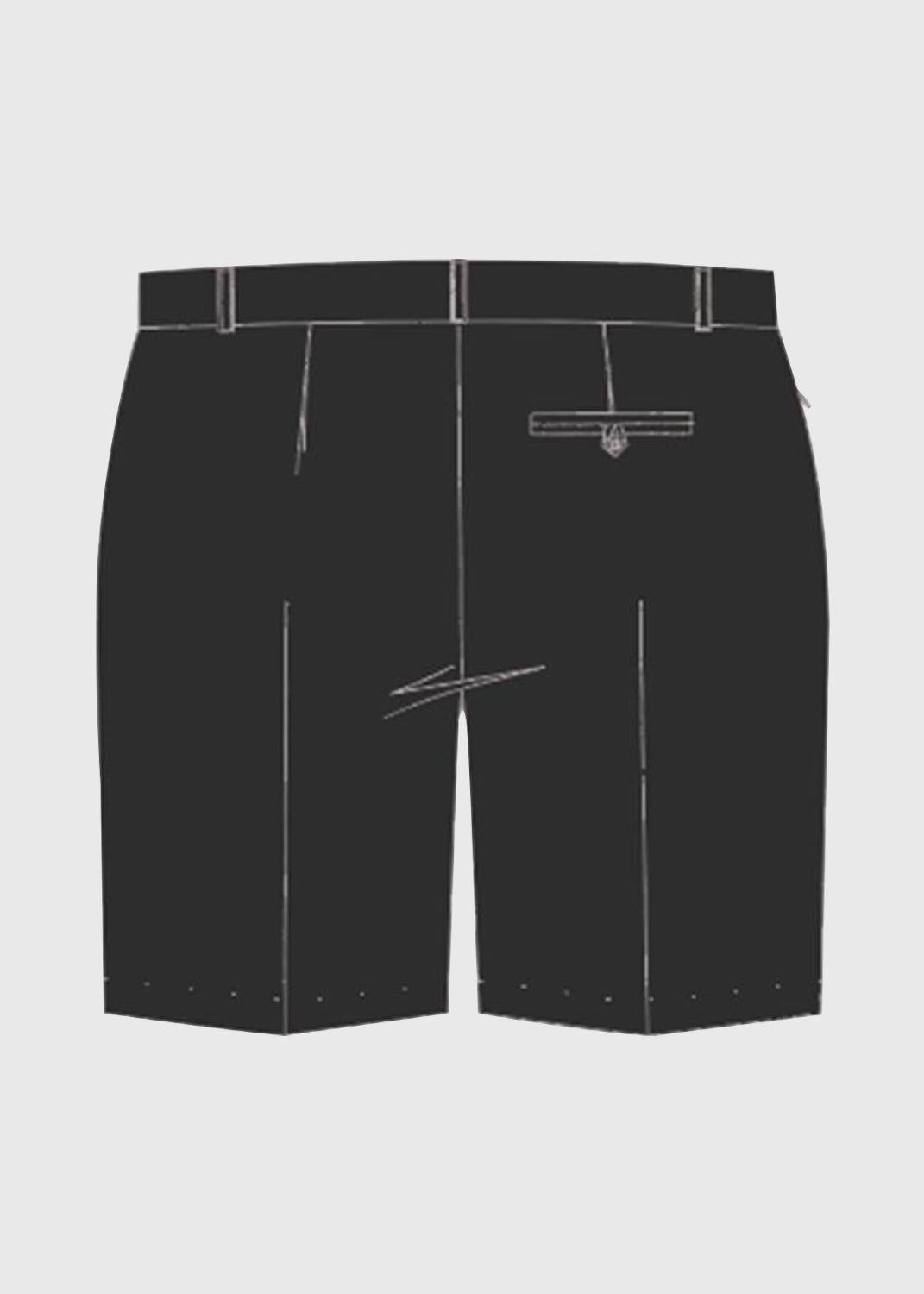 Shorts Formal Zip