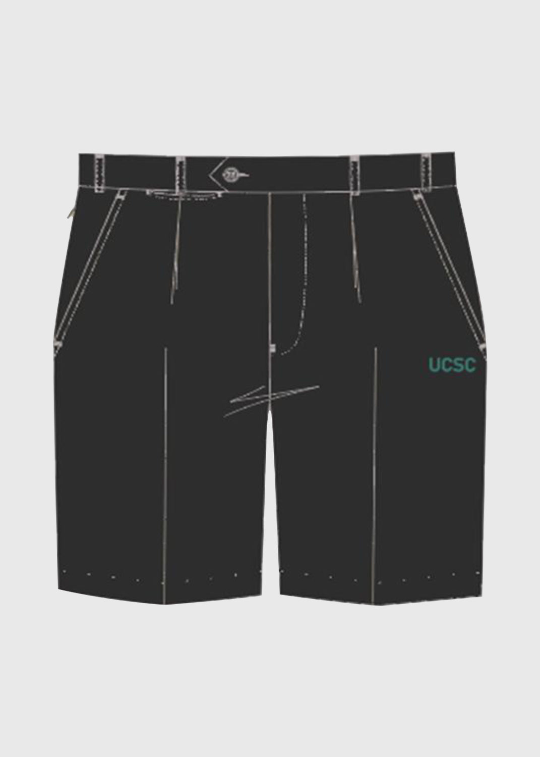 Shorts Formal Zip