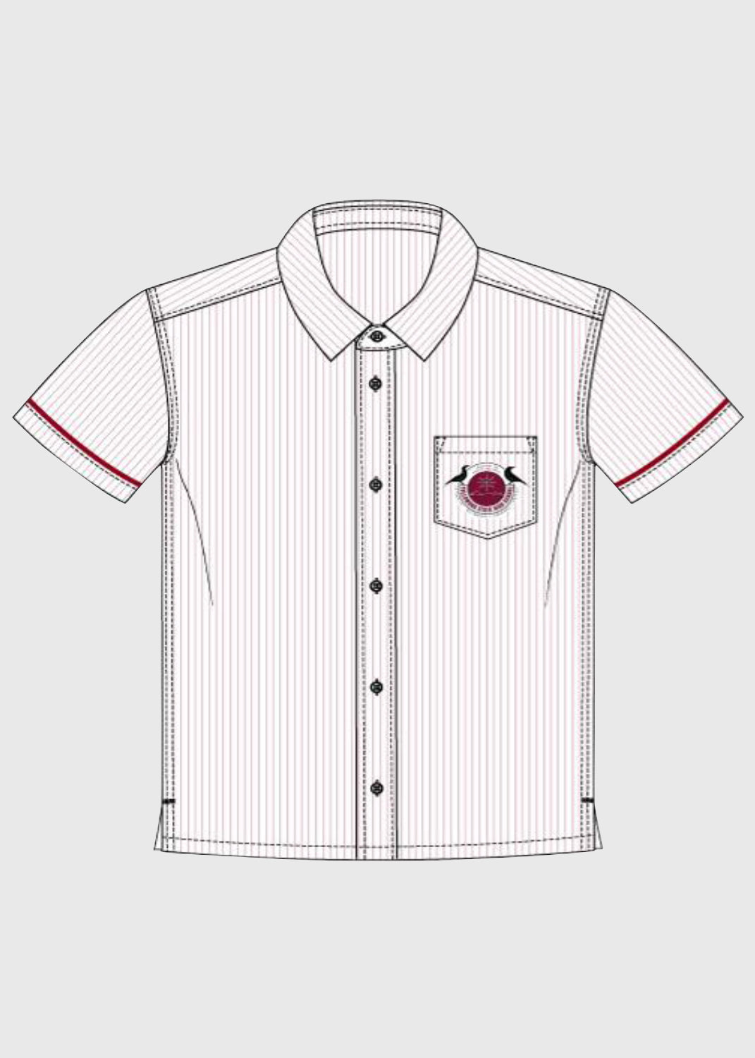 Formal Shirt Male Fit