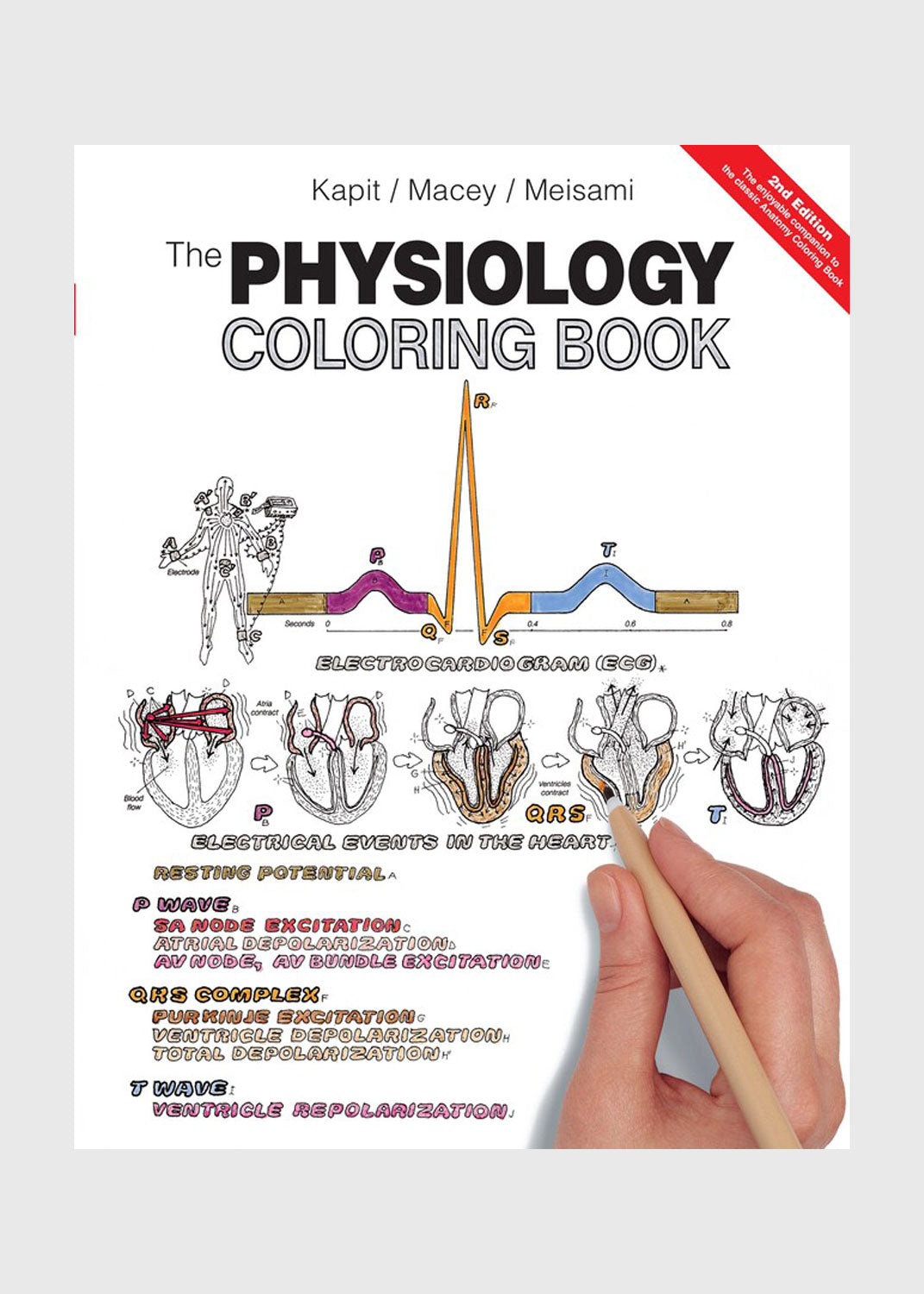 The Physiology Coloring Book