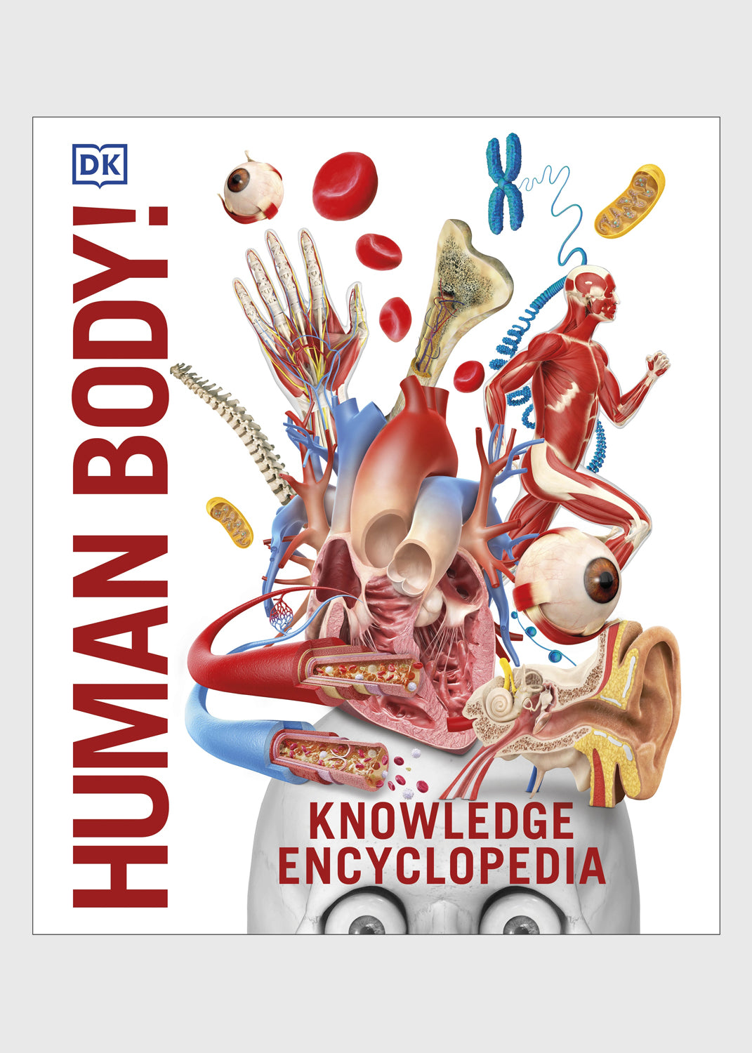 Knowledge Encyclopedia - Human Body!